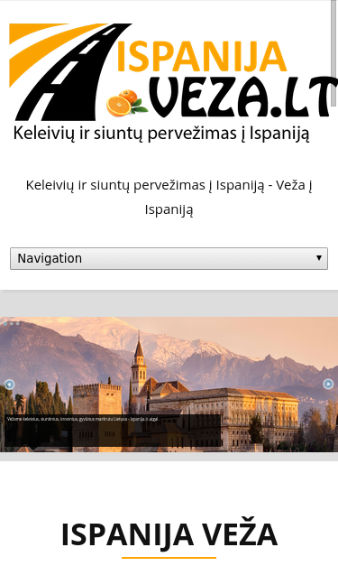 Mobile view