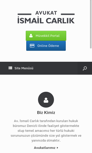 Mobile view