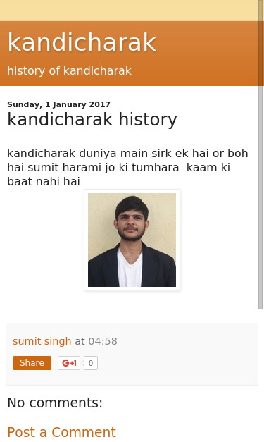 Mobile view