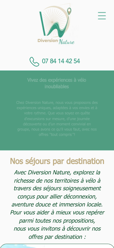 Mobile view