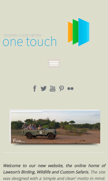 Mobile view