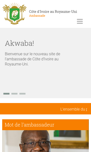 Mobile view