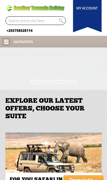 Mobile view