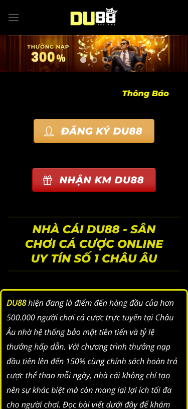 Mobile view