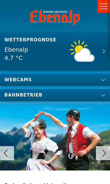 Mobile view