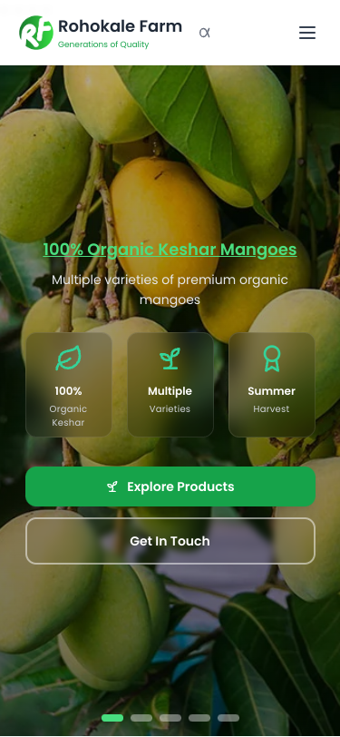 Mobile view