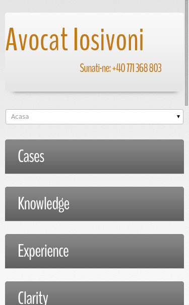 Mobile view