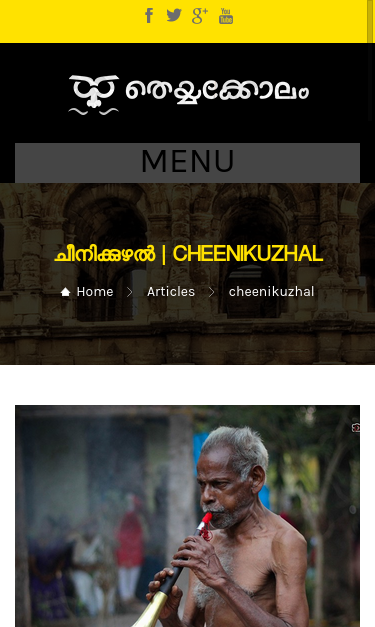 Mobile view