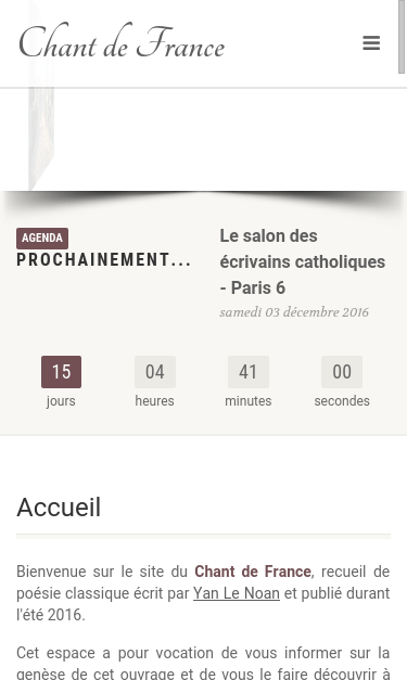 Mobile view