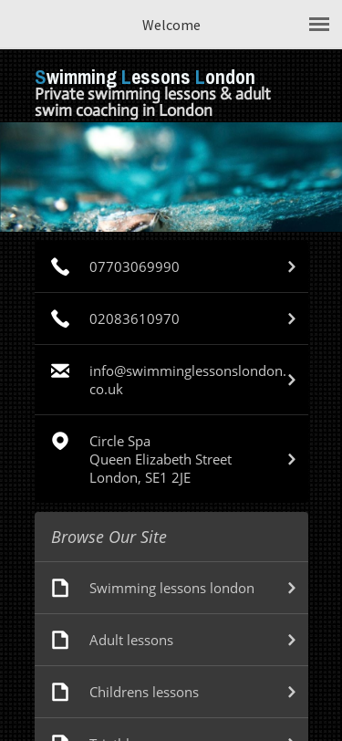 Mobile view