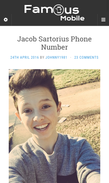 Mobile view