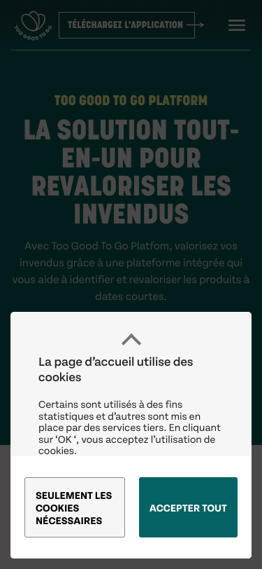 Mobile view