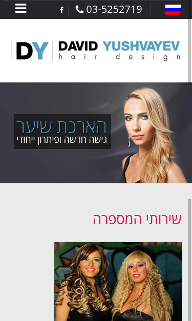 Mobile view
