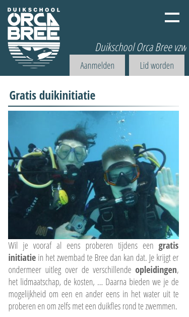 Mobile view