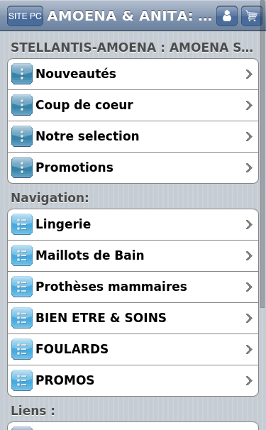 Mobile view