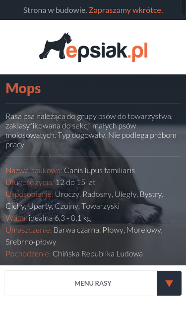Mobile view