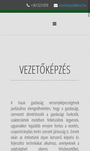 Mobile view