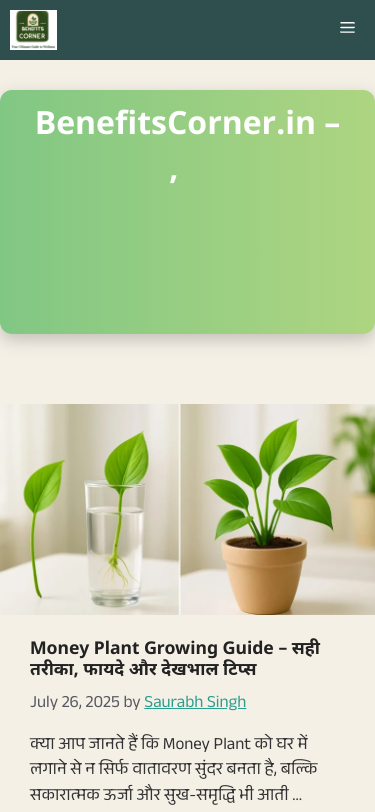 Mobile view