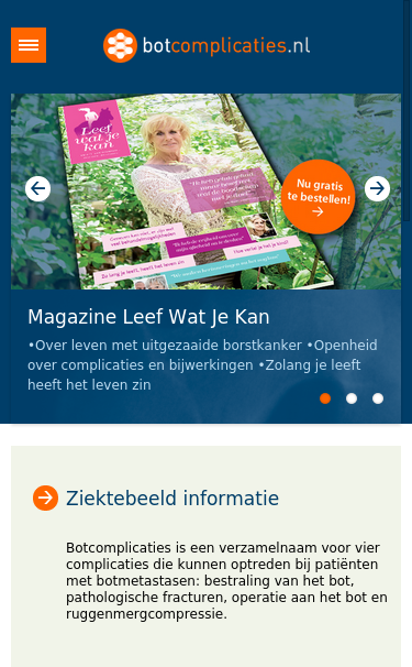 Mobile view