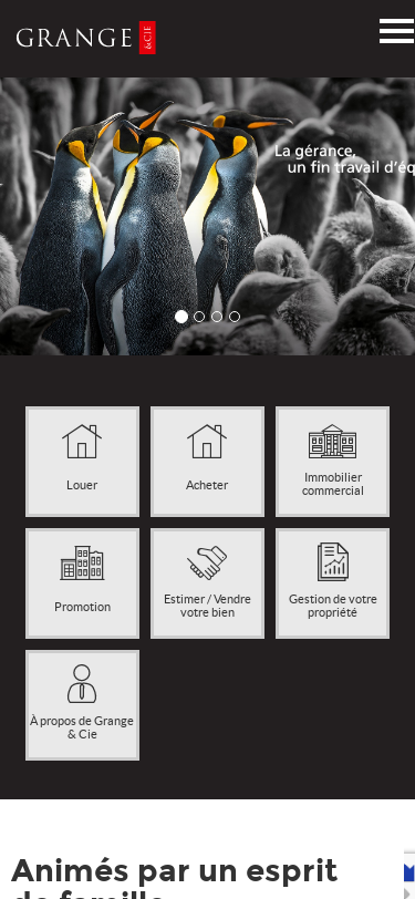Mobile view