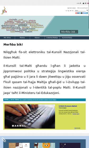 Mobile view