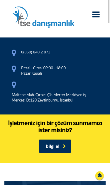 Mobile view