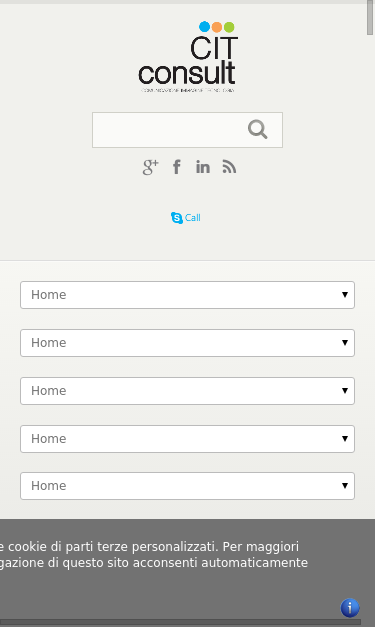 Mobile view