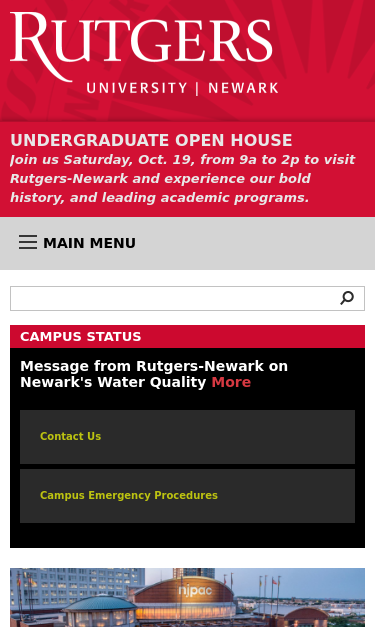 Mobile view