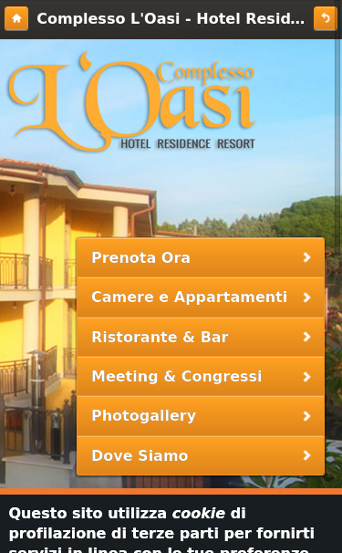 Mobile view