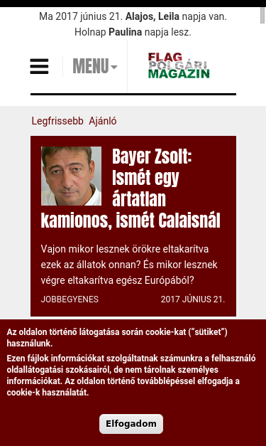 Mobile view