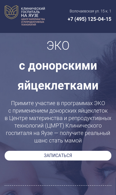 Mobile view