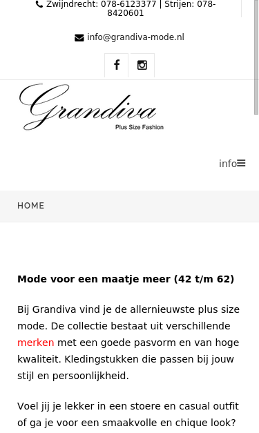 Mobile view