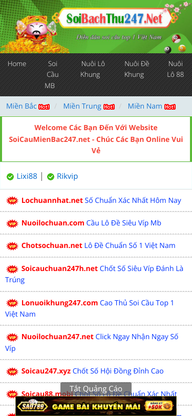 Mobile view