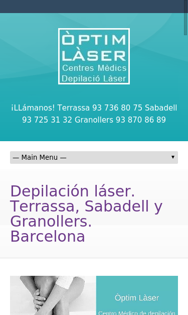 Mobile view