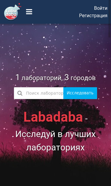 Mobile view