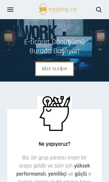 Mobile view