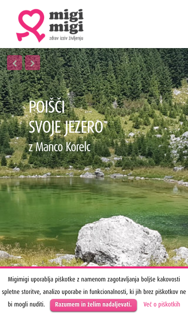 Mobile view