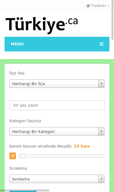 Mobile view