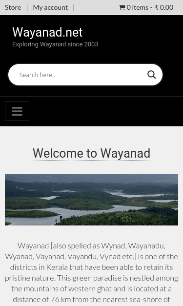 Mobile view