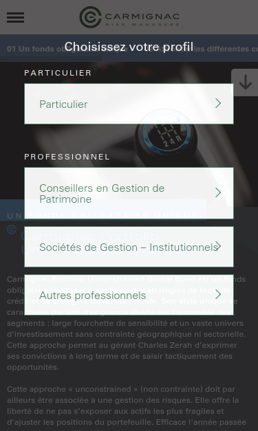 Mobile view