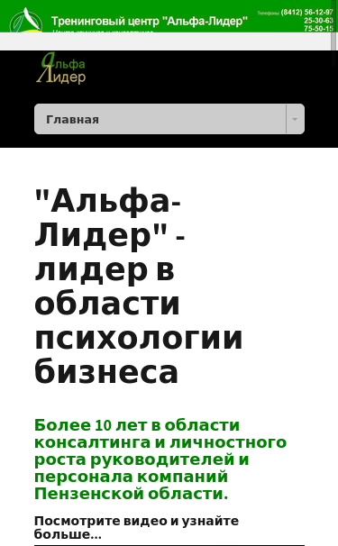 Mobile view