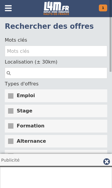 Mobile view
