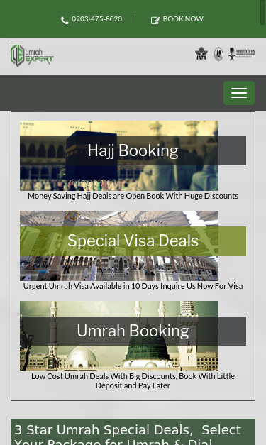 Mobile view