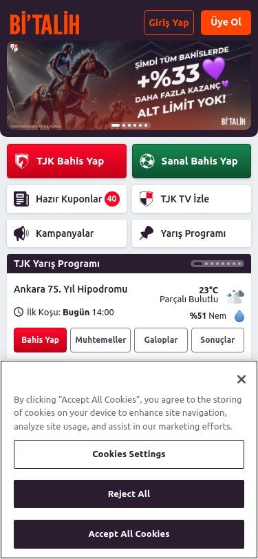 Mobile view