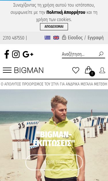 Mobile view