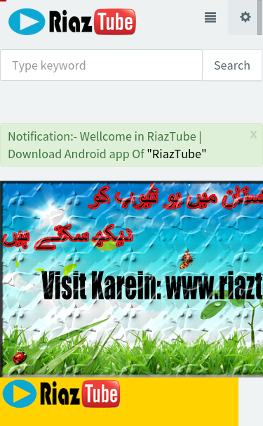 Mobile view