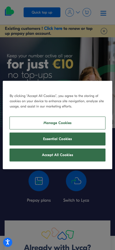 Mobile view