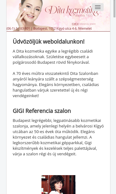 Mobile view