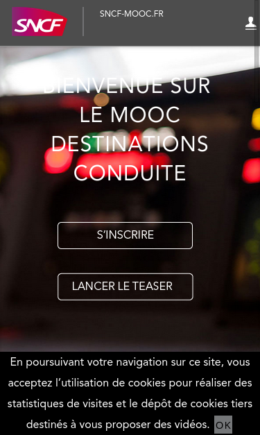 Mobile view