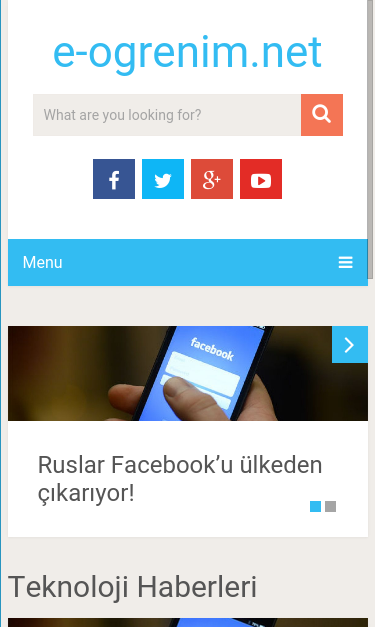 Mobile view